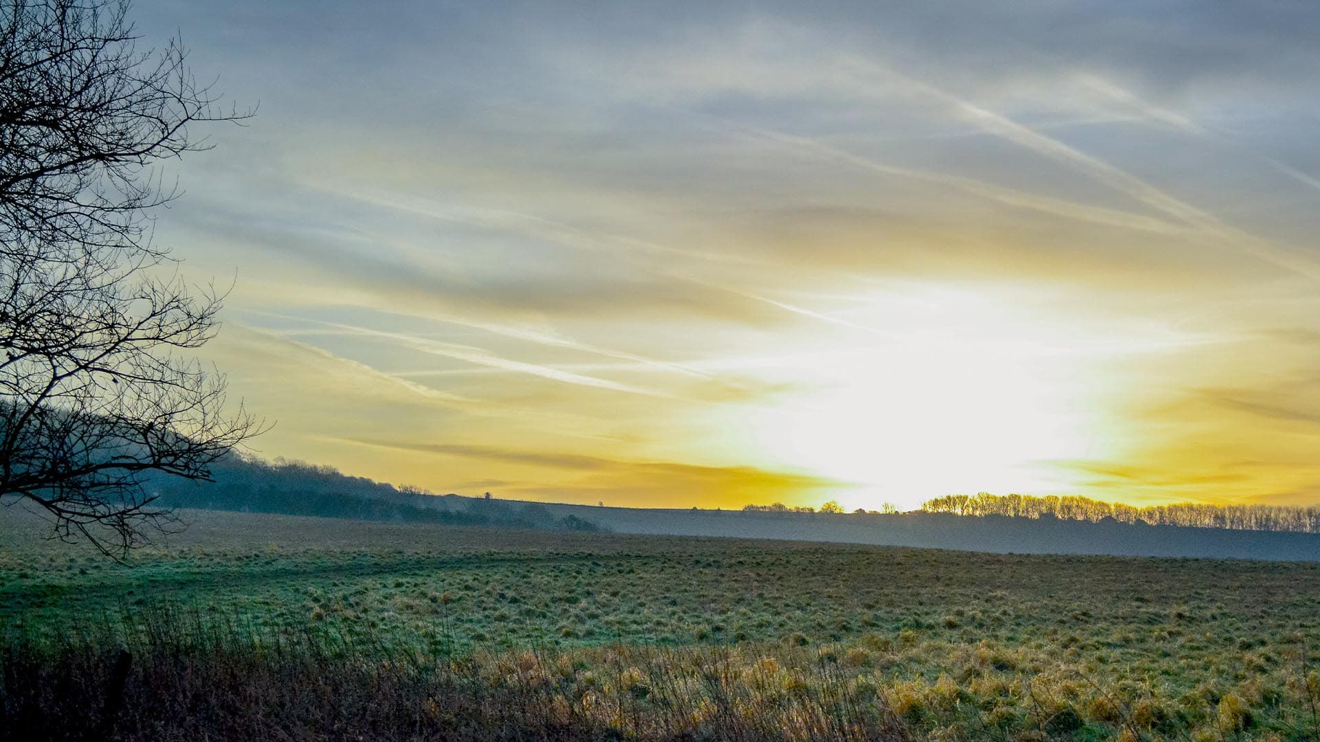 FINDON VALLEY AREA GUIDE